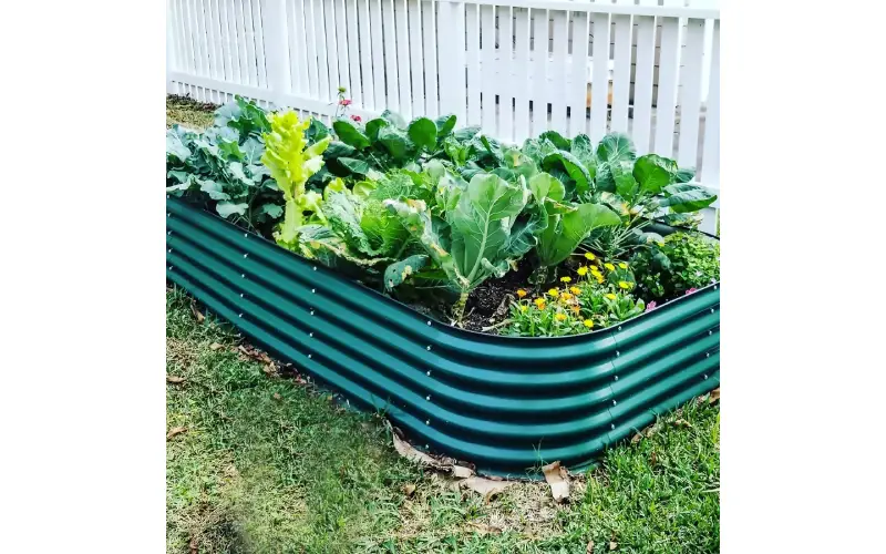 raised garden bed kit